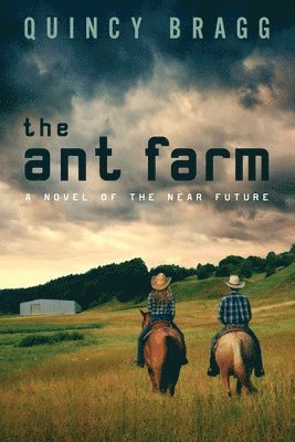 The ant farm 1