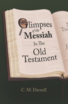 bokomslag Glimpses Of The Messiah In The Old Testament