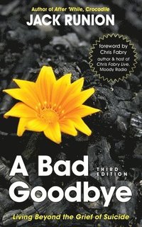 bokomslag A Bad Goodbye: Living Beyond the Grief of Suicide