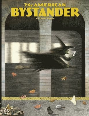 American Bystander #13