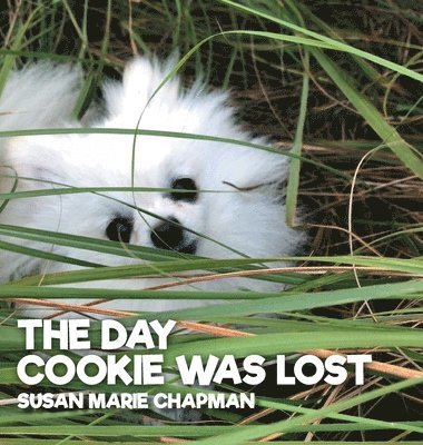 Susan Marie Chapman - Day Cookie Was Lost, Inbunden