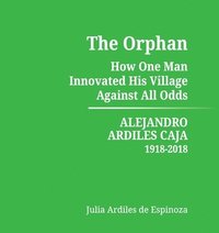 bokomslag The Orphan
