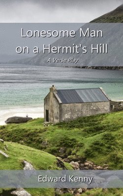 bokomslag Lonesome Man on a Hermit's Hill