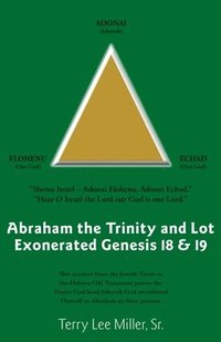 bokomslag Abraham The Trinity And Lot Exonerated Genesis 18 & 19