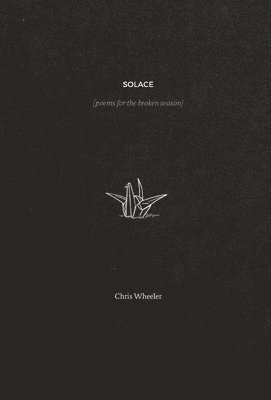 bokomslag Solace