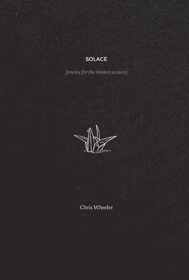 bokomslag Solace