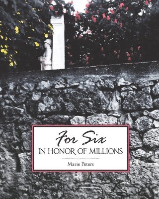 Marie Peters - For Six in Honor of Millions: World War I Memorials in Rural France and Australia, Häftad