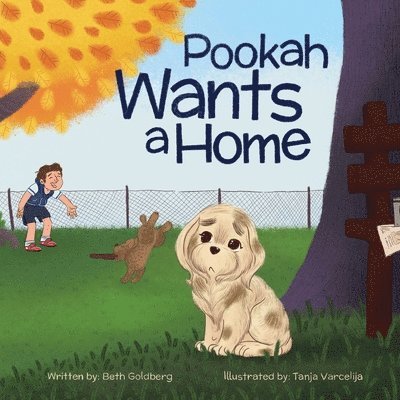 Pookah Wants A Home 1