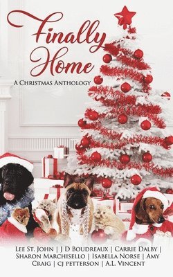 Cj Petterson, Isabella Norse - Finally Home, Häftad