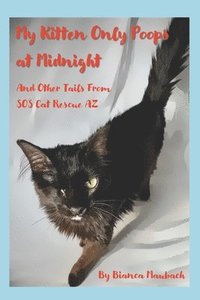 bokomslag My Kitten Only Poops at Midnight: And Other Tails from SOS Cat Rescue AZ