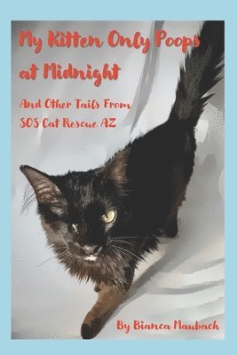 Todd Cohen, Samuel Molina, Bianca Maubach - My Kitten Only Poops at Midnight: And Other Tails from SOS Cat Rescue AZ, Häftad