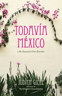 bokomslag Todavía México: Life Beyond the Border