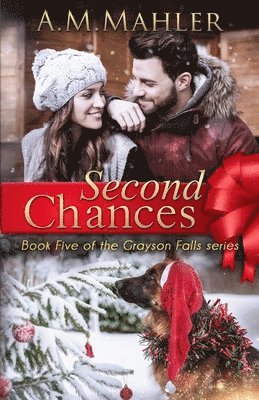 bokomslag Second Chances: Book 5 of the Grayson Falls Series