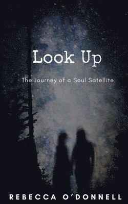 Look Up: The Journey of a Soul Satellite 1