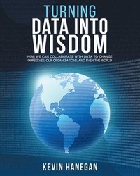 bokomslag Turning Data into Wisdom