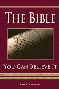 bokomslag The Bible - You Can Believe It!