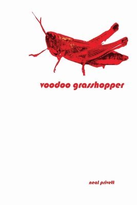 Voodoo Grasshopper: Stories 1