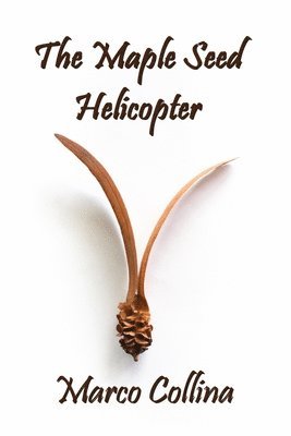 Maple Seed Helicopter