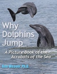 bokomslag Why Dolphins Jump: A Picture Book of the Acrobats of the Sea