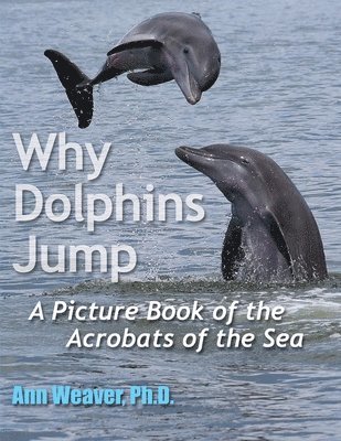 Ann Weaver - Why Dolphins Jump: A Picture Book of the Acrobats of the Sea, Häftad