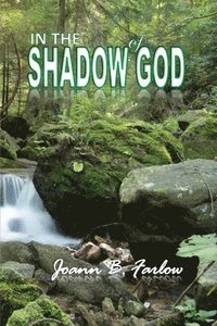bokomslag In The Shadow of God