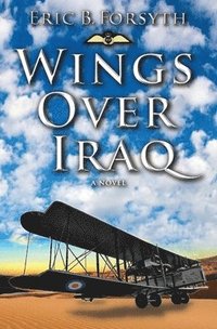 bokomslag Wings Over Iraq
