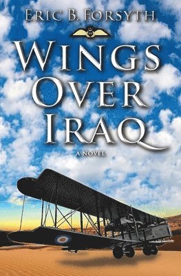 Wings Over Iraq 1