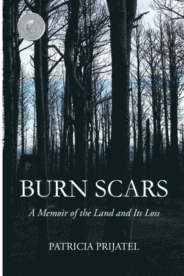 bokomslag Burn Scars