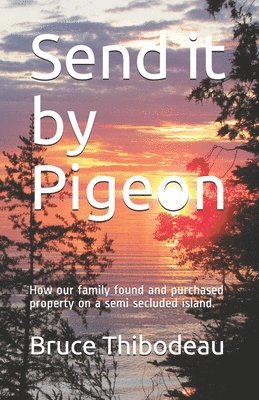 Send it by Pigeon: How our family found and purchased property on a semi seculded island. 1