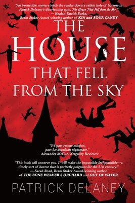 bokomslag Delaney, P: House that fell from the Sky