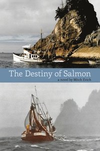 bokomslag Destiny of Salmon