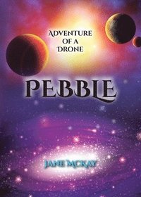 bokomslag Pebble