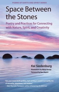 bokomslag Space Between the Stones: Poetry and Practices for Connecting with Nature, Spirit, and Creativity