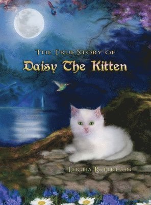 bokomslag The True Story of Daisy the Kitten