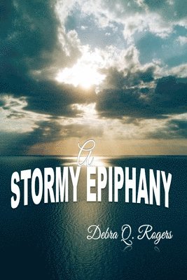 Debra Q. Rogers - A Stormy Epiphany, Häftad
