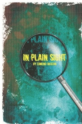 In Plain Sight 1