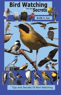 Keith Lee - Bird Watching Tips and Secrets, Häftad