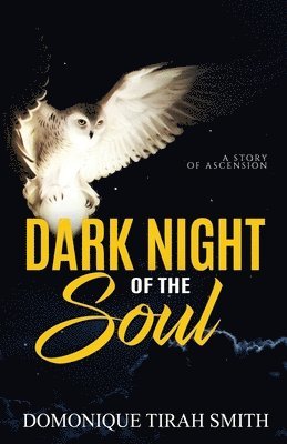 bokomslag Dark Night of the Soul: A Story of Ascension