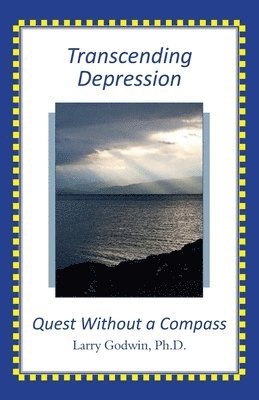 bokomslag Transcending Depression