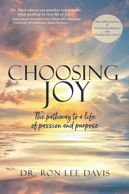 bokomslag Choosing Joy: The Pathway to a Life of Passion and Purpose
