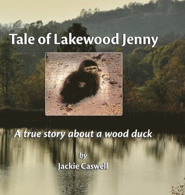 Tale of Lakewood Jenny 1