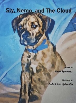 Sean M Sylvester - Sly, Nemo, and The Cloud, Inbunden