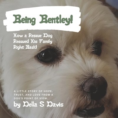 Being Bentley! 1