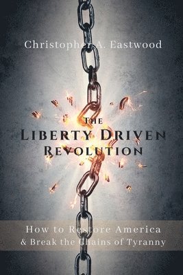 bokomslag Liberty Driven Revolution
