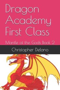 bokomslag Dragon Academy First Class: Mantle of the Gods Book 2