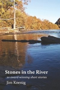 bokomslag Stones in the River: 20 Award-Winning Short Stories