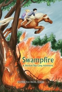 bokomslag Swampfire