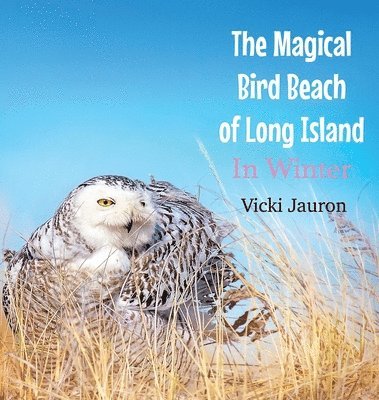 The Magical Bird Beach of Long Island in Winter 1