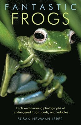 Fantastic Frogs 1