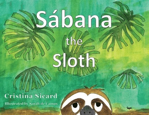 Sabana the Sloth 1